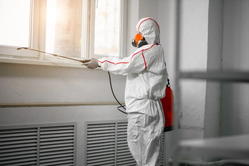 Professional mold remediation services in Amityville, NY